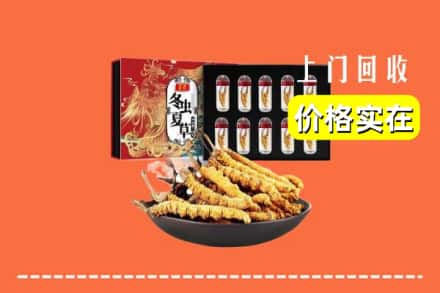 乃东区回收冬虫夏草